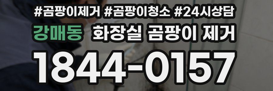 강매동 화장실 곰팡이 제거