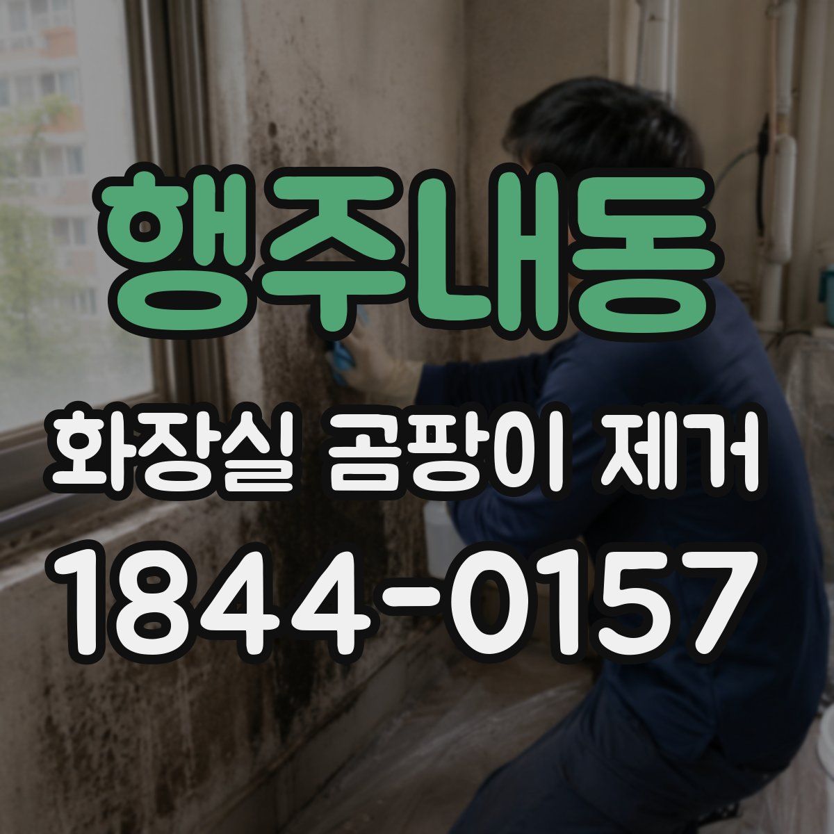 행주내동 화장실 곰팡이 제거