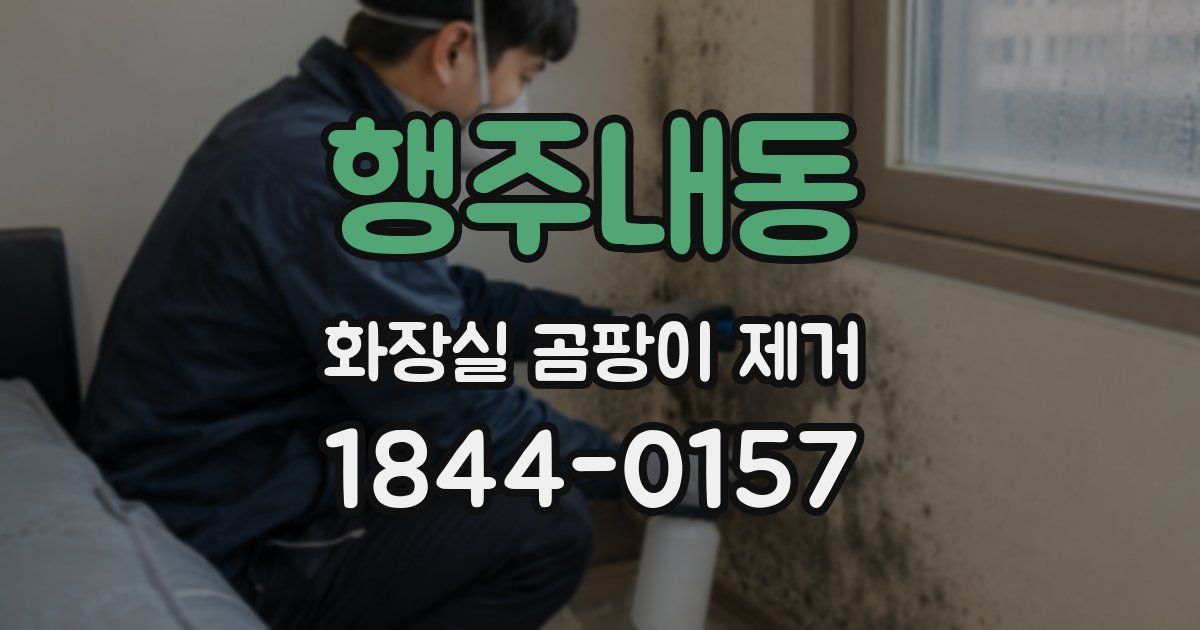 행주내동 화장실 곰팡이 제거