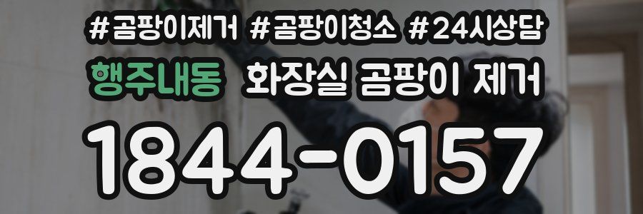 행주내동 화장실 곰팡이 제거