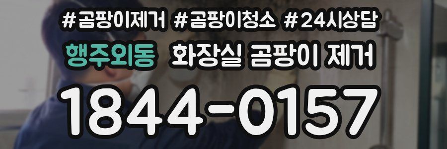 행주외동 화장실 곰팡이 제거