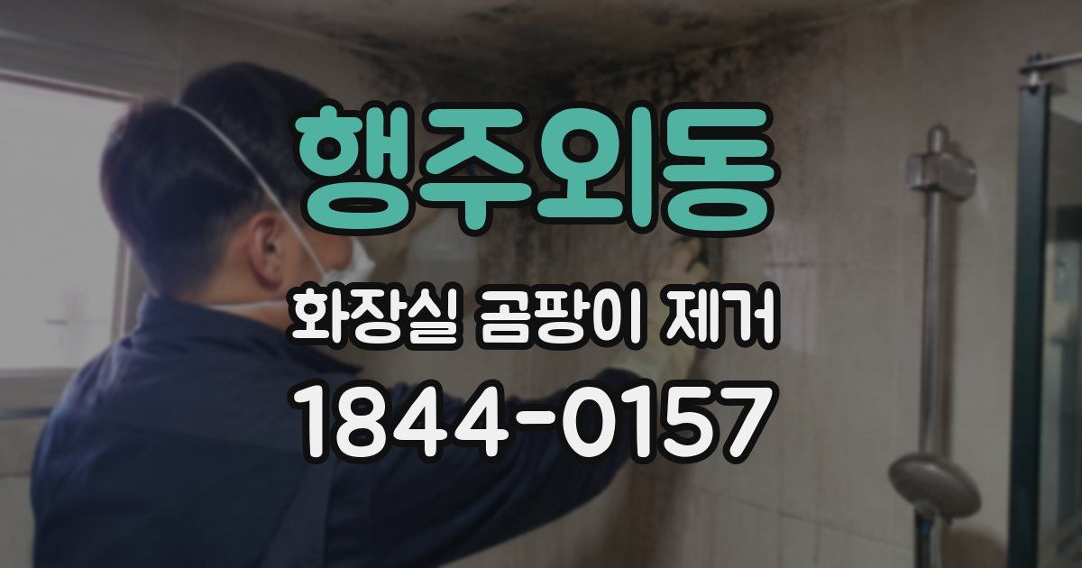 행주외동 화장실 곰팡이 제거