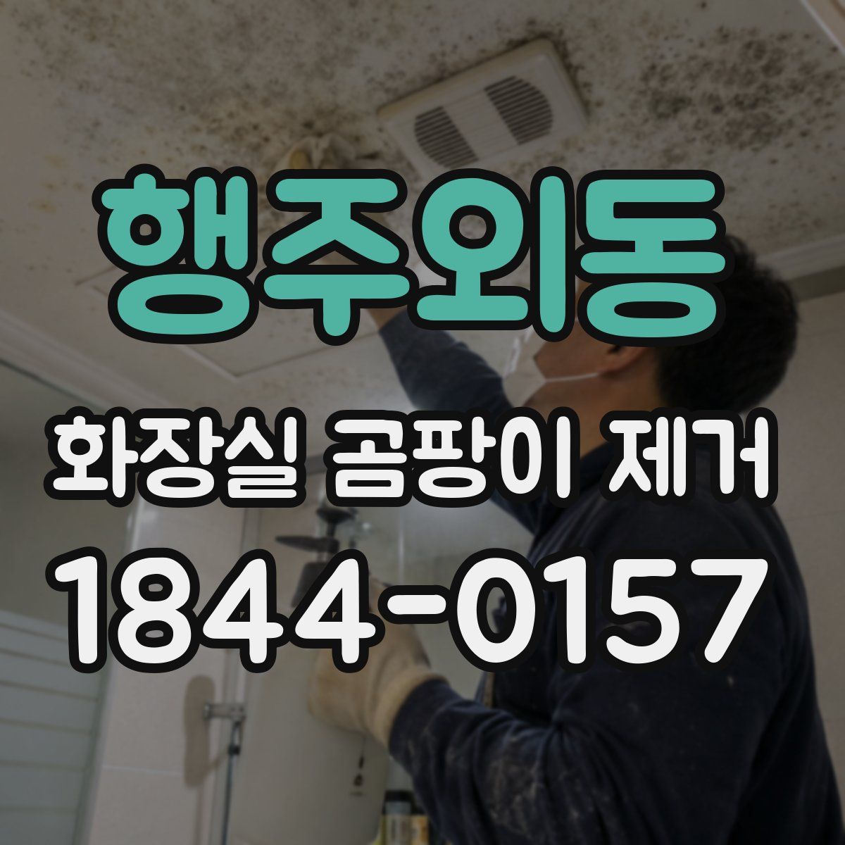 행주외동 화장실 곰팡이 제거