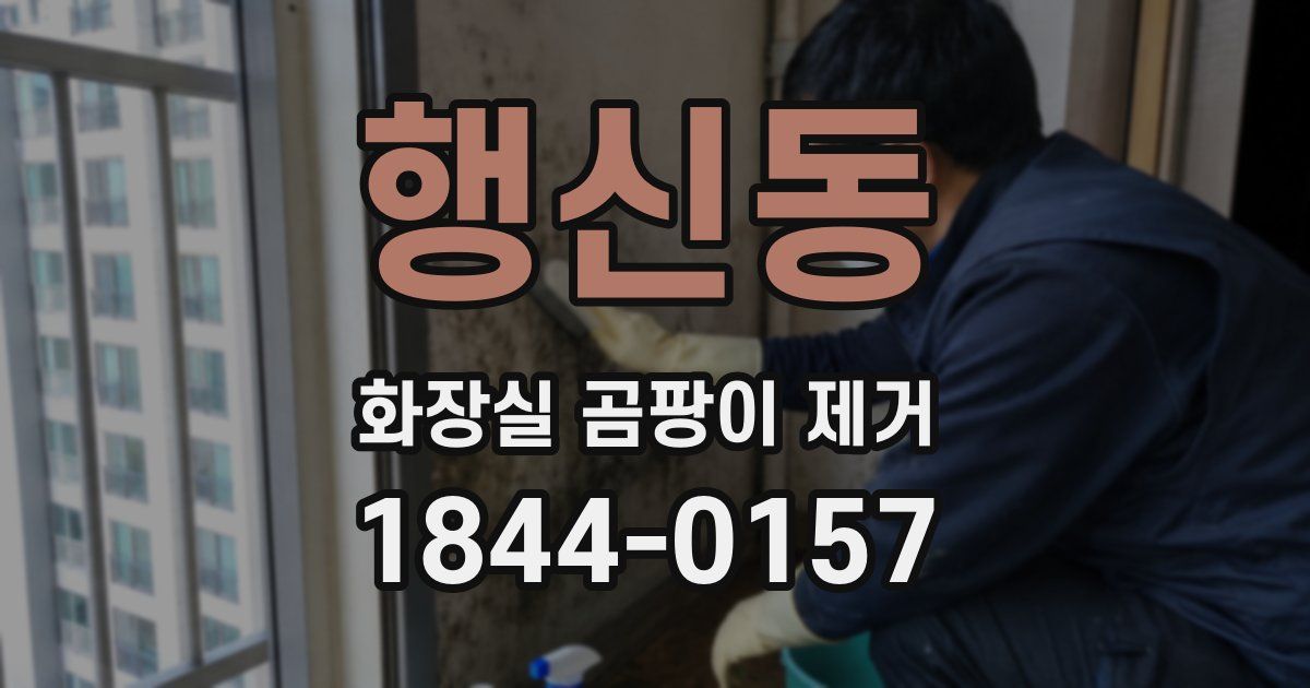 행신동 화장실 곰팡이 제거