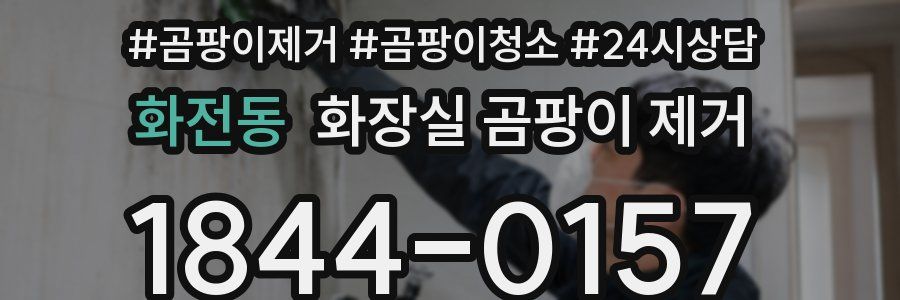 화전동 화장실 곰팡이 제거