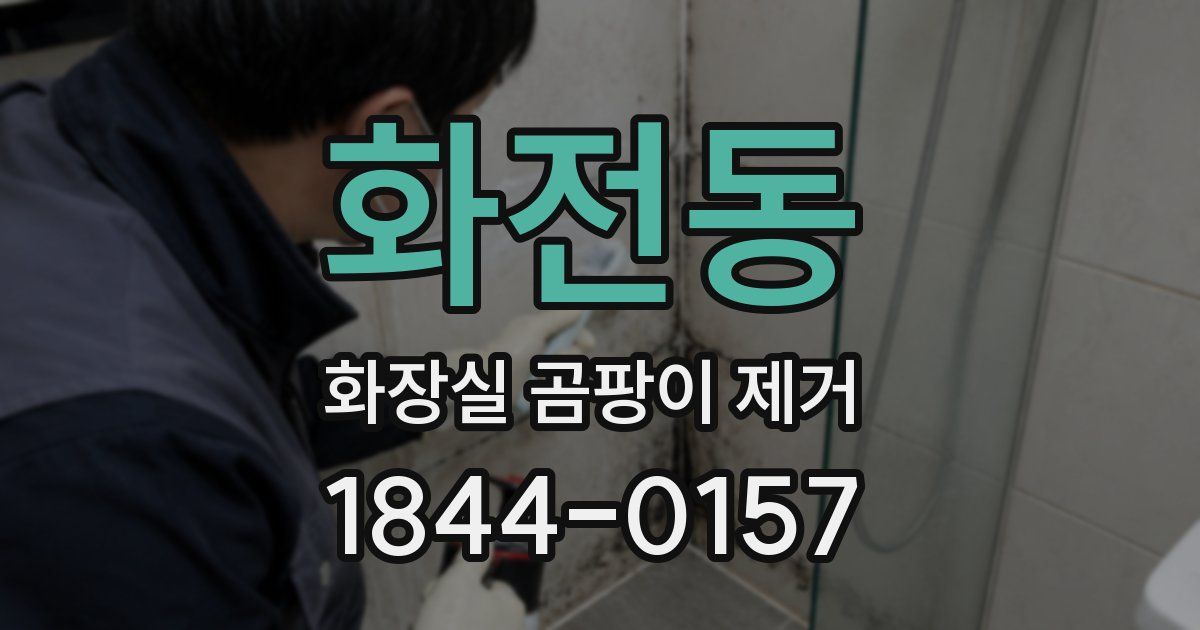 화전동 화장실 곰팡이 제거