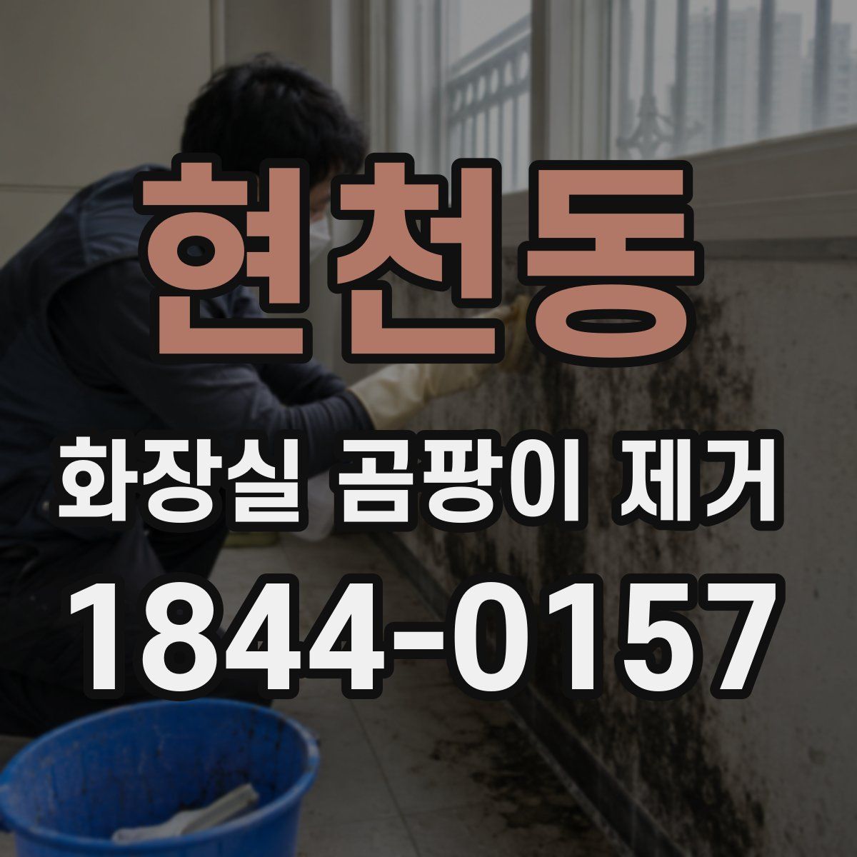 현천동 화장실 곰팡이 제거