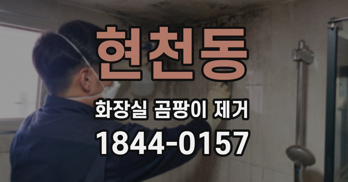현천동 화장실 곰팡이 제거