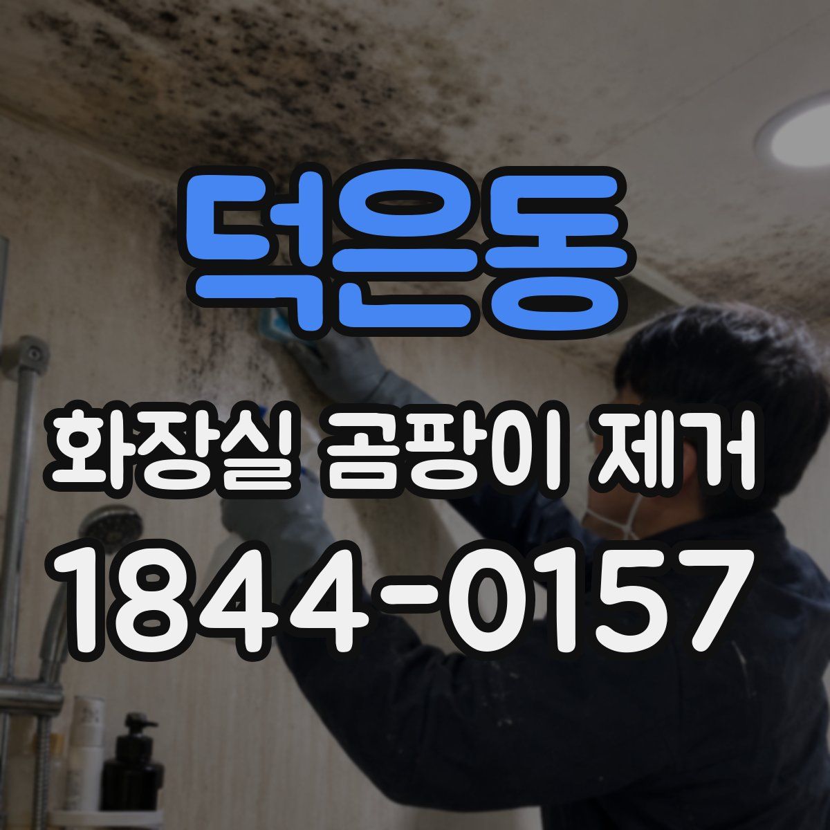 덕은동 화장실 곰팡이 제거