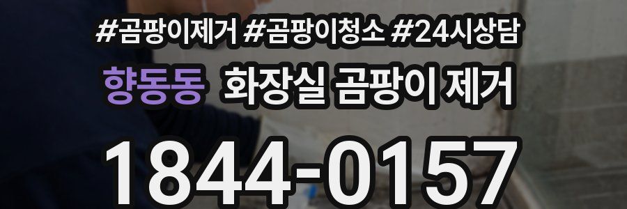 향동동 화장실 곰팡이 제거