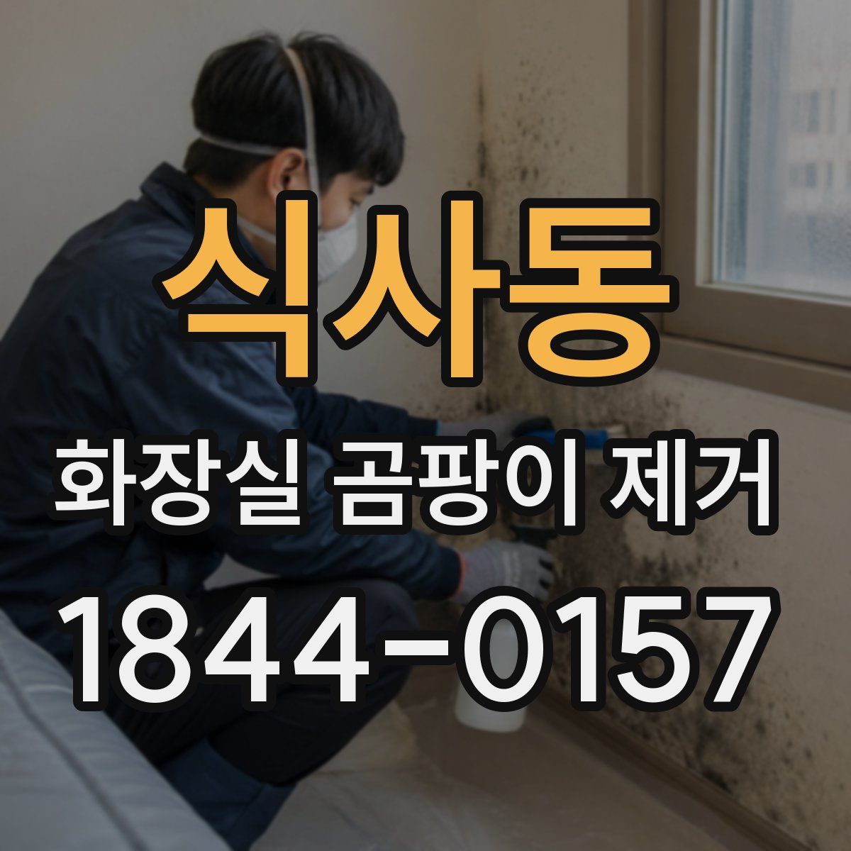 식사동 화장실 곰팡이 제거