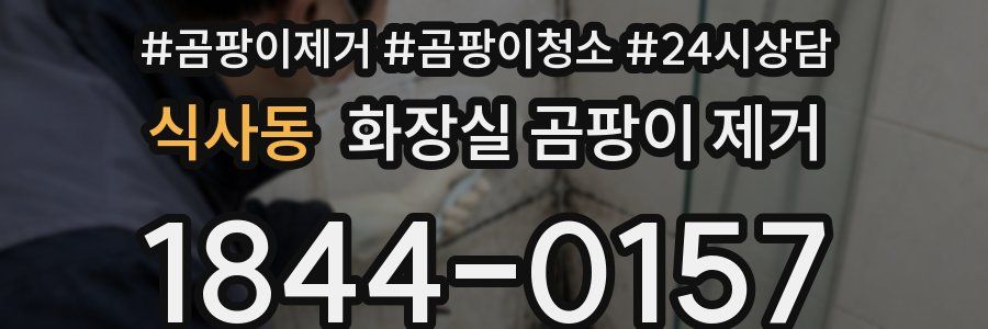 식사동 화장실 곰팡이 제거