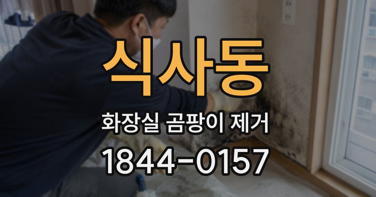 식사동 화장실 곰팡이 제거