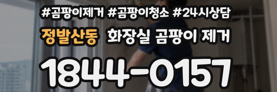 정발산동 화장실 곰팡이 제거