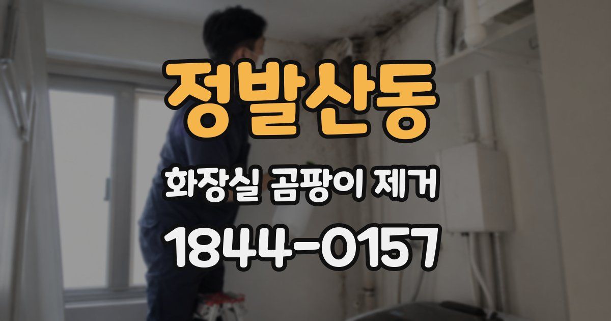 정발산동 화장실 곰팡이 제거