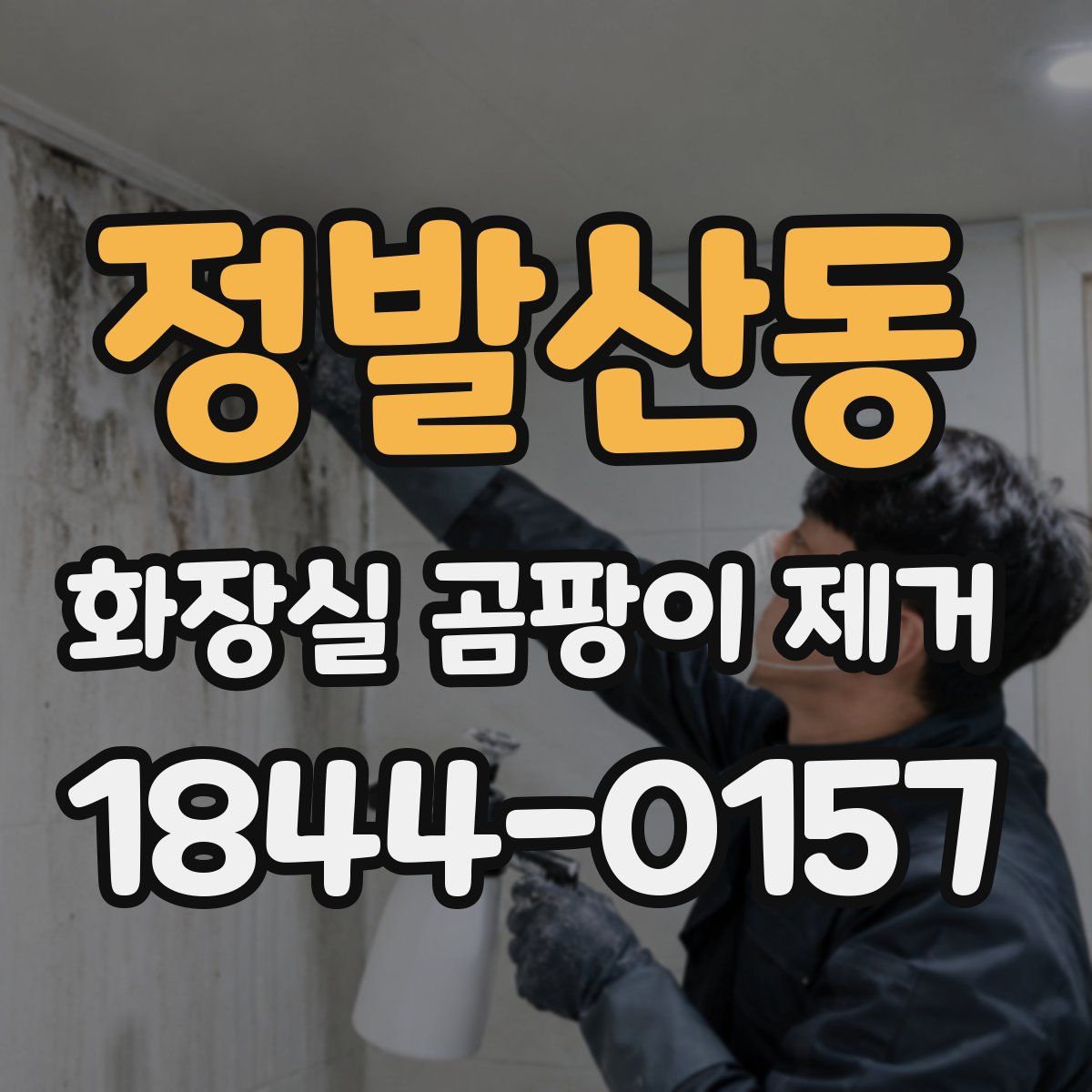 정발산동 화장실 곰팡이 제거