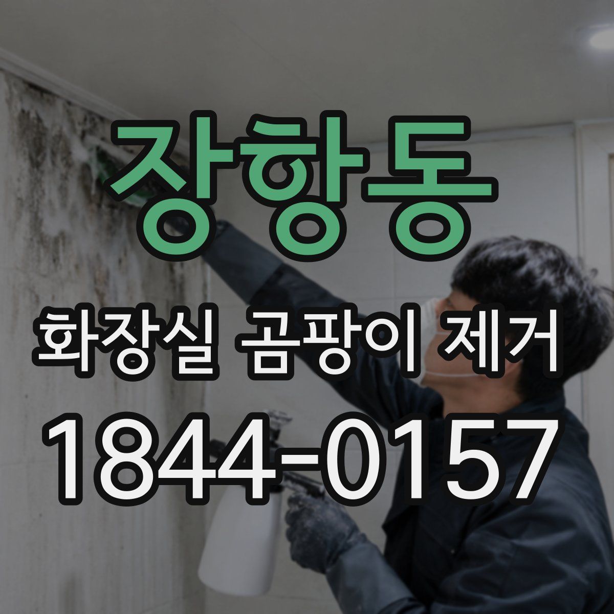 장항동 화장실 곰팡이 제거