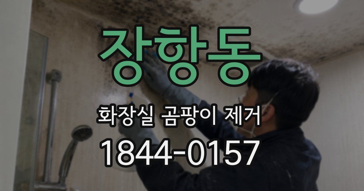 장항동 화장실 곰팡이 제거