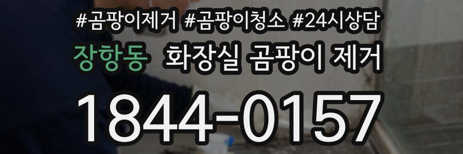 장항동 화장실 곰팡이 제거