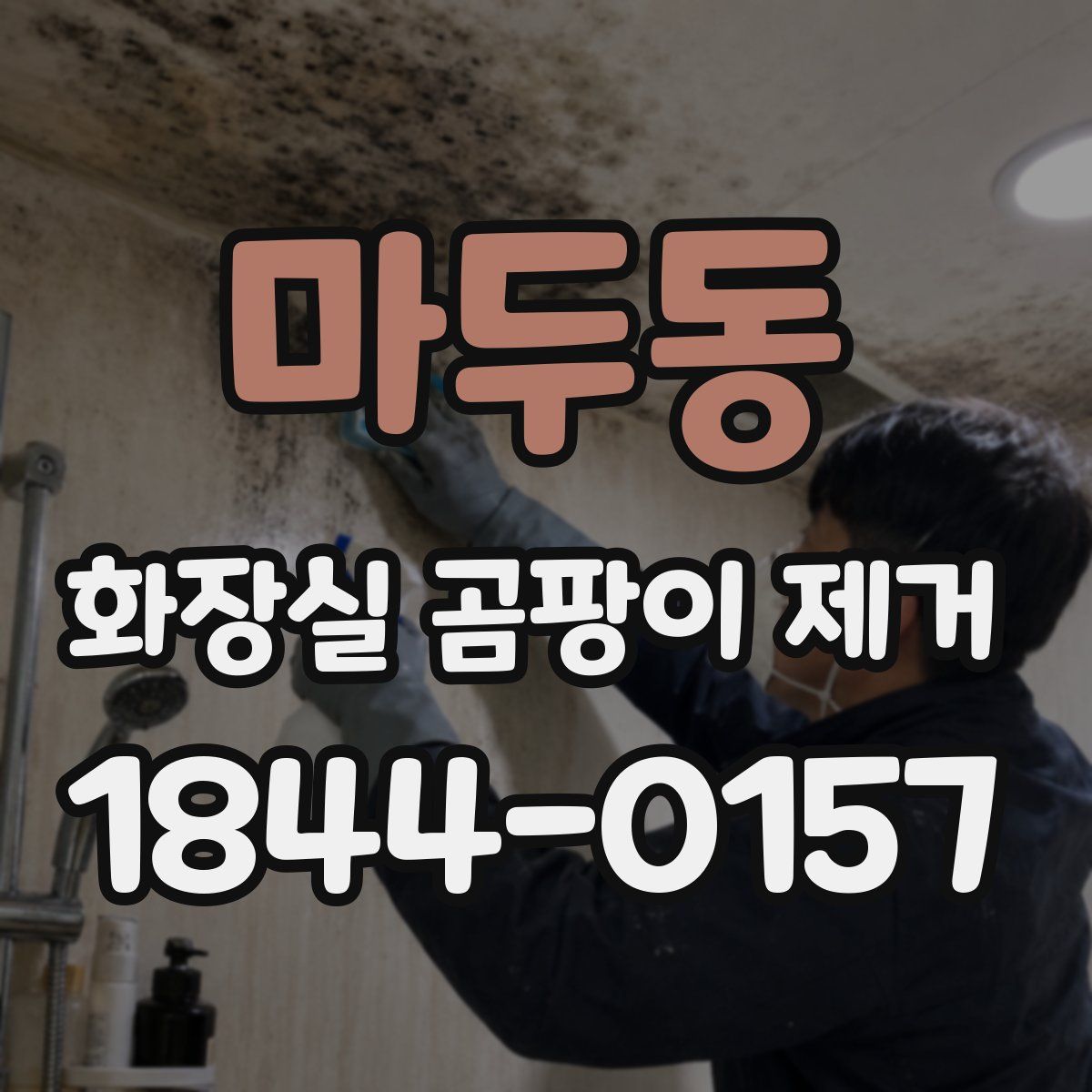 마두동 화장실 곰팡이 제거