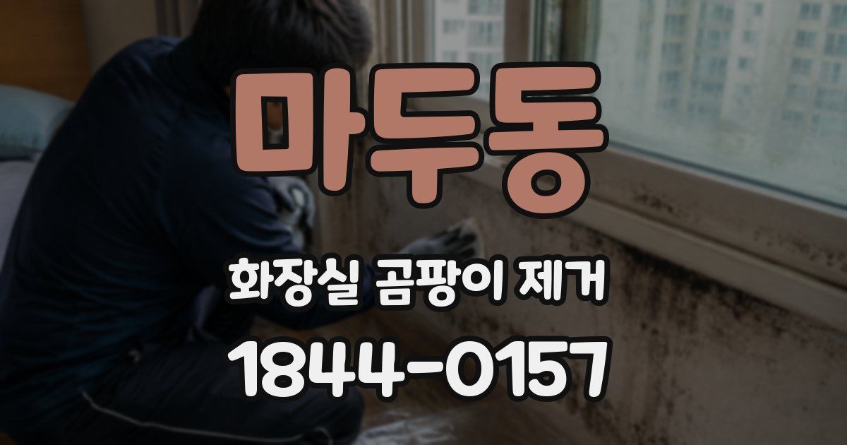 마두동 화장실 곰팡이 제거