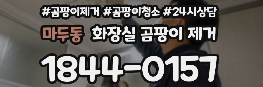 마두동 화장실 곰팡이 제거