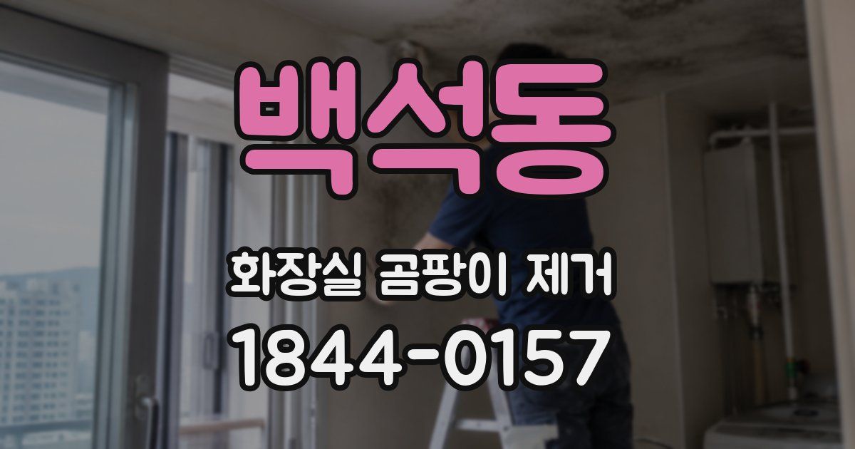 백석동 화장실 곰팡이 제거