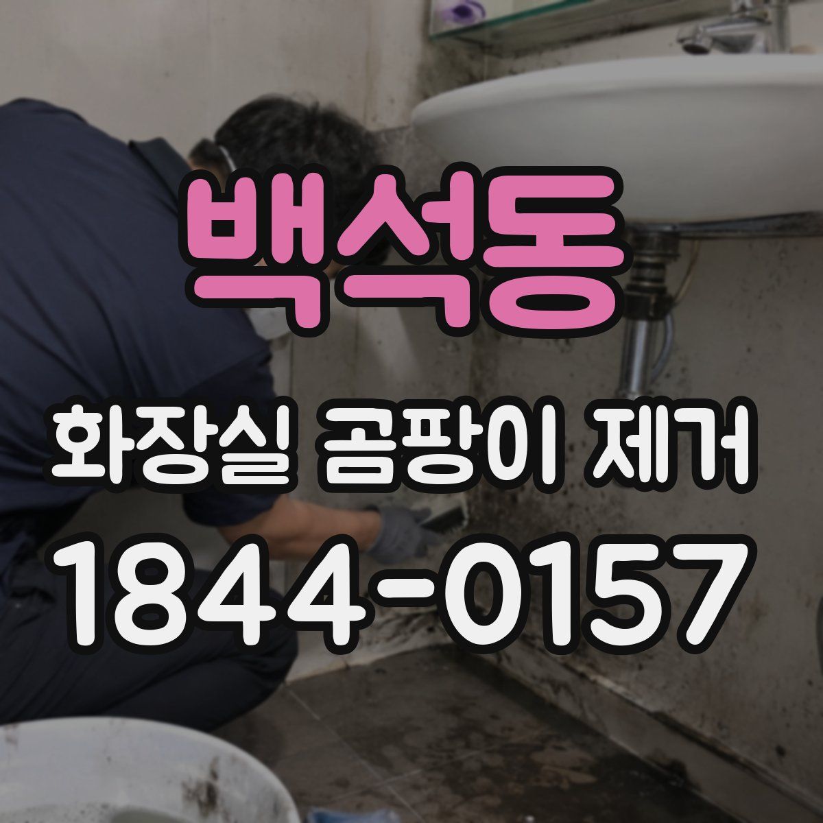 백석동 화장실 곰팡이 제거