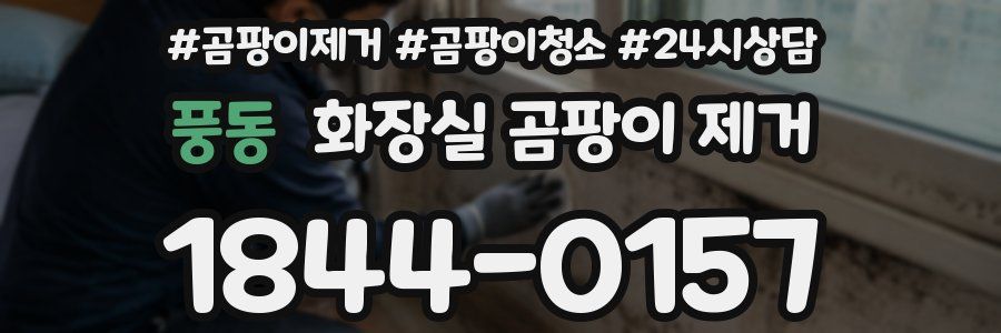풍동 화장실 곰팡이 제거