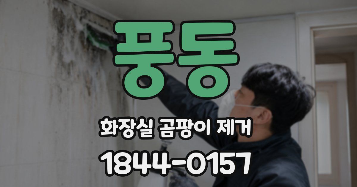 풍동 화장실 곰팡이 제거