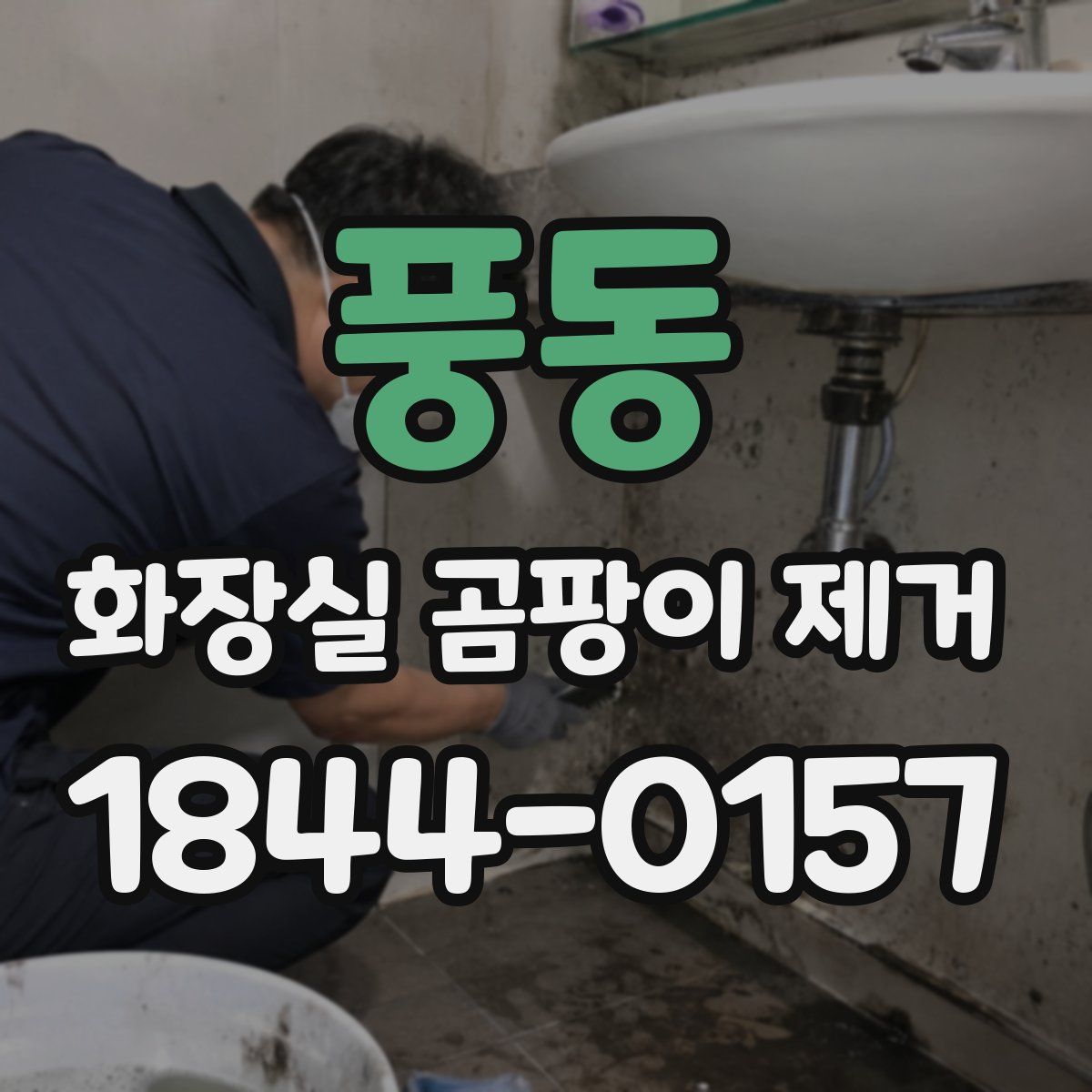 풍동 화장실 곰팡이 제거