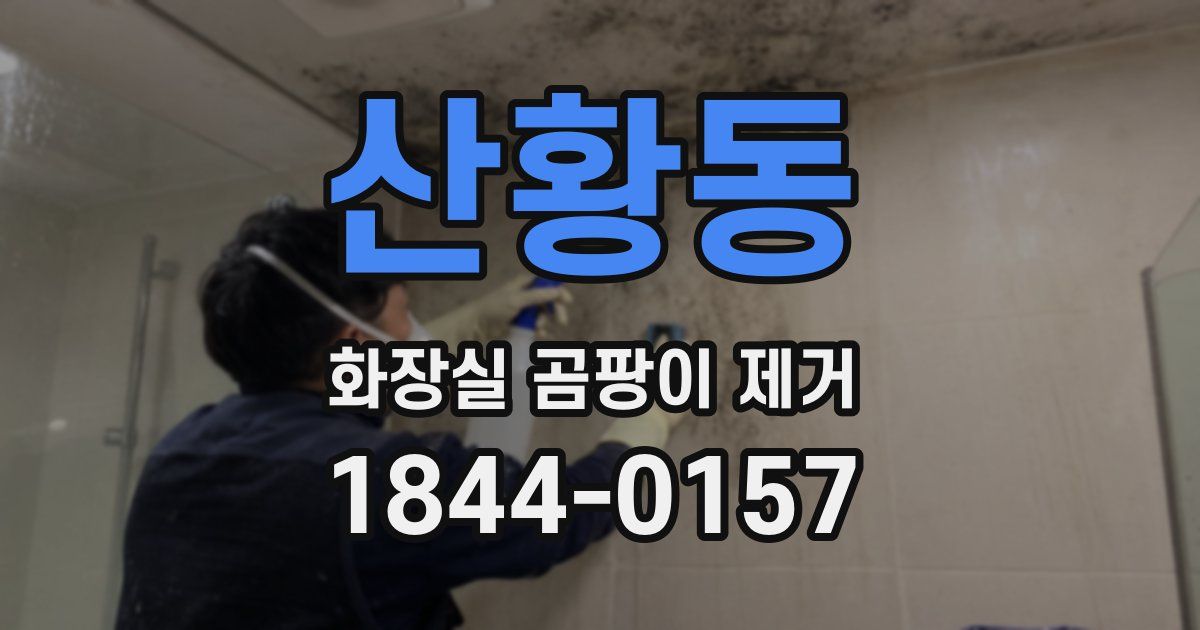 산황동 화장실 곰팡이 제거