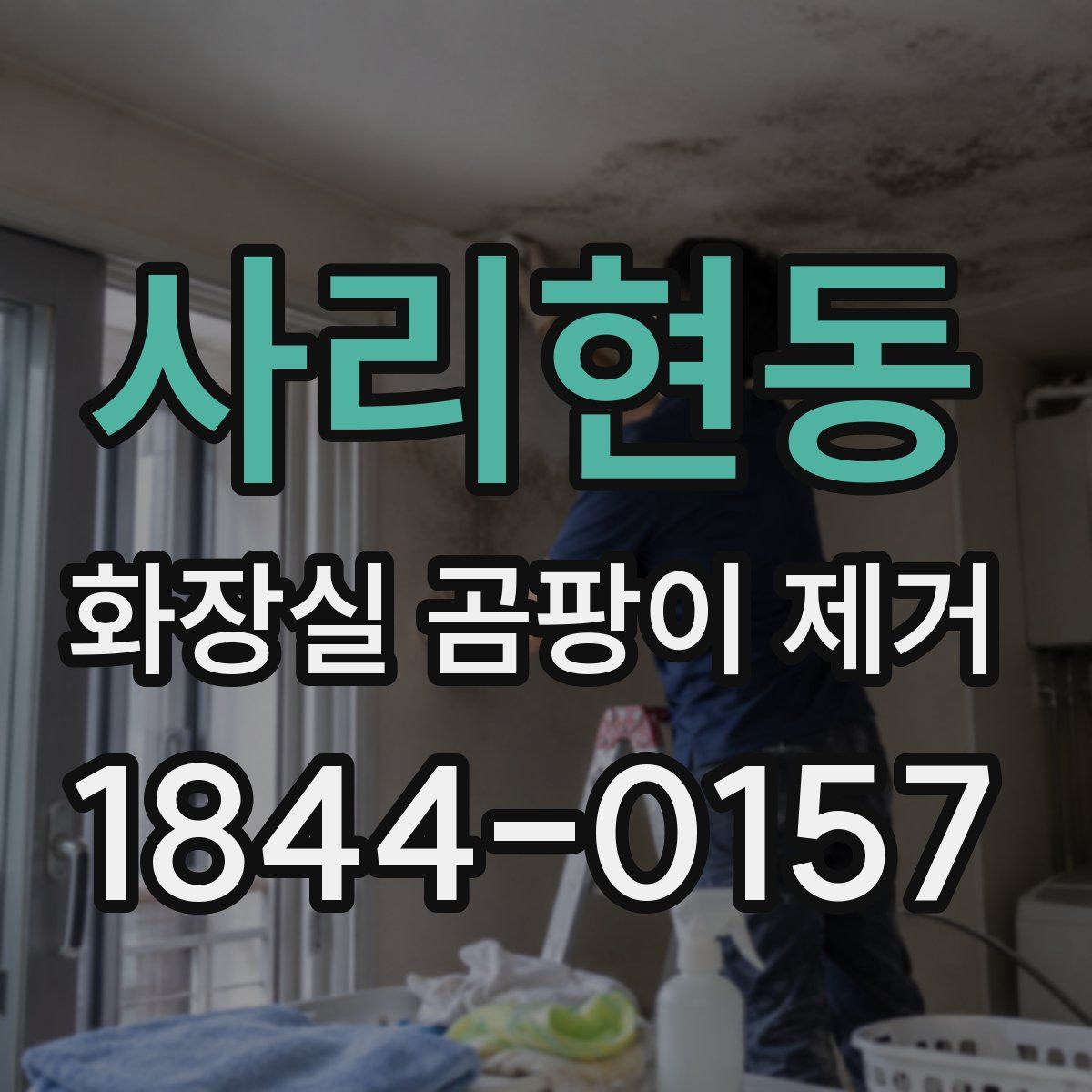 사리현동 화장실 곰팡이 제거