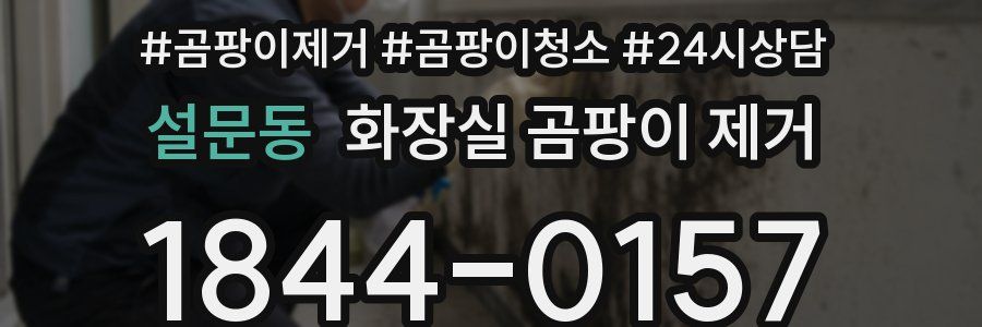 설문동 화장실 곰팡이 제거