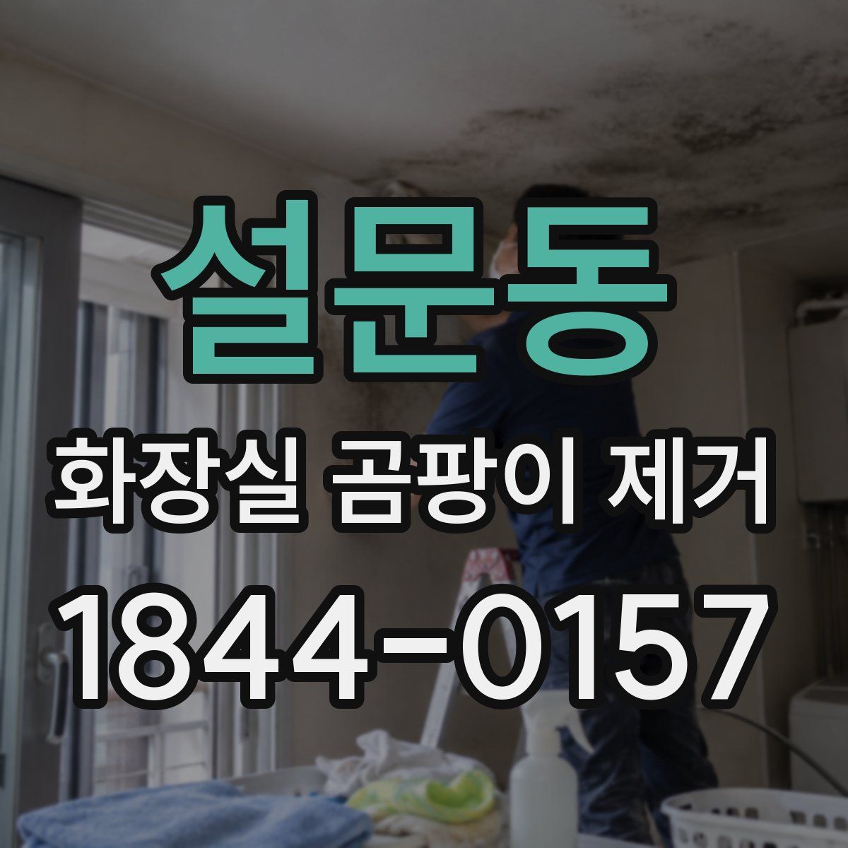 설문동 화장실 곰팡이 제거