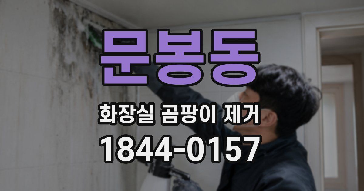 문봉동 화장실 곰팡이 제거