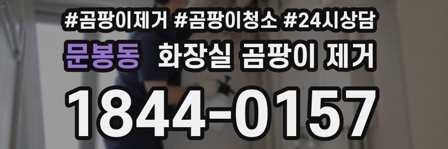 문봉동 화장실 곰팡이 제거
