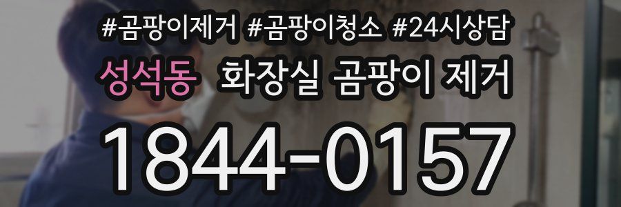 성석동 화장실 곰팡이 제거