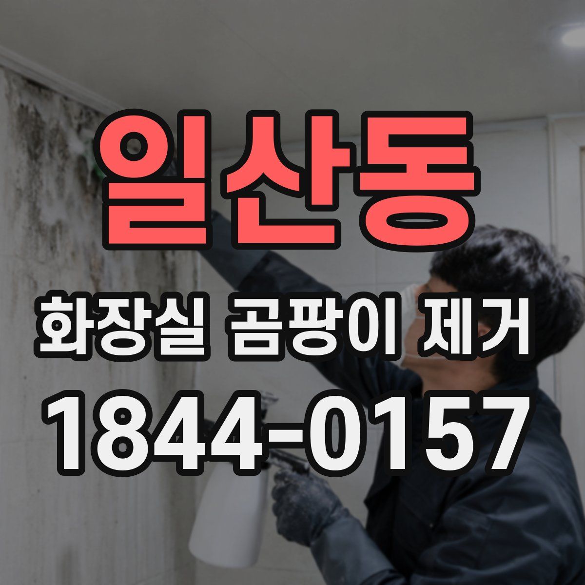 일산동 화장실 곰팡이 제거
