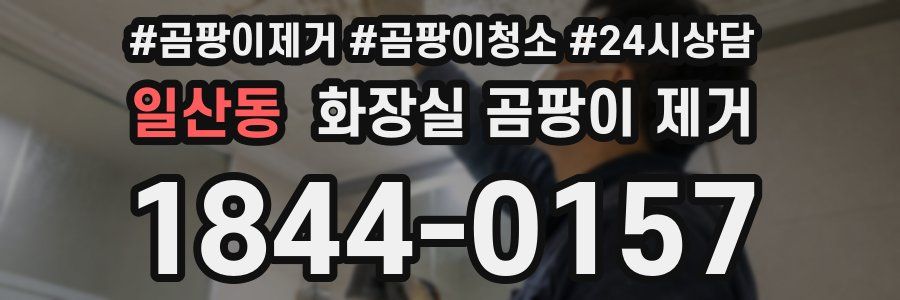 일산동 화장실 곰팡이 제거