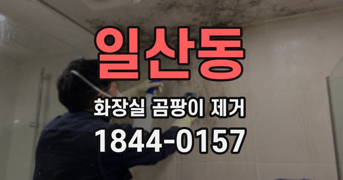 일산동 화장실 곰팡이 제거