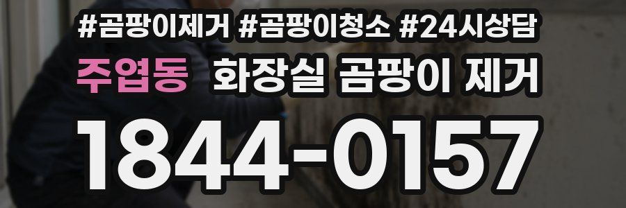 주엽동 화장실 곰팡이 제거