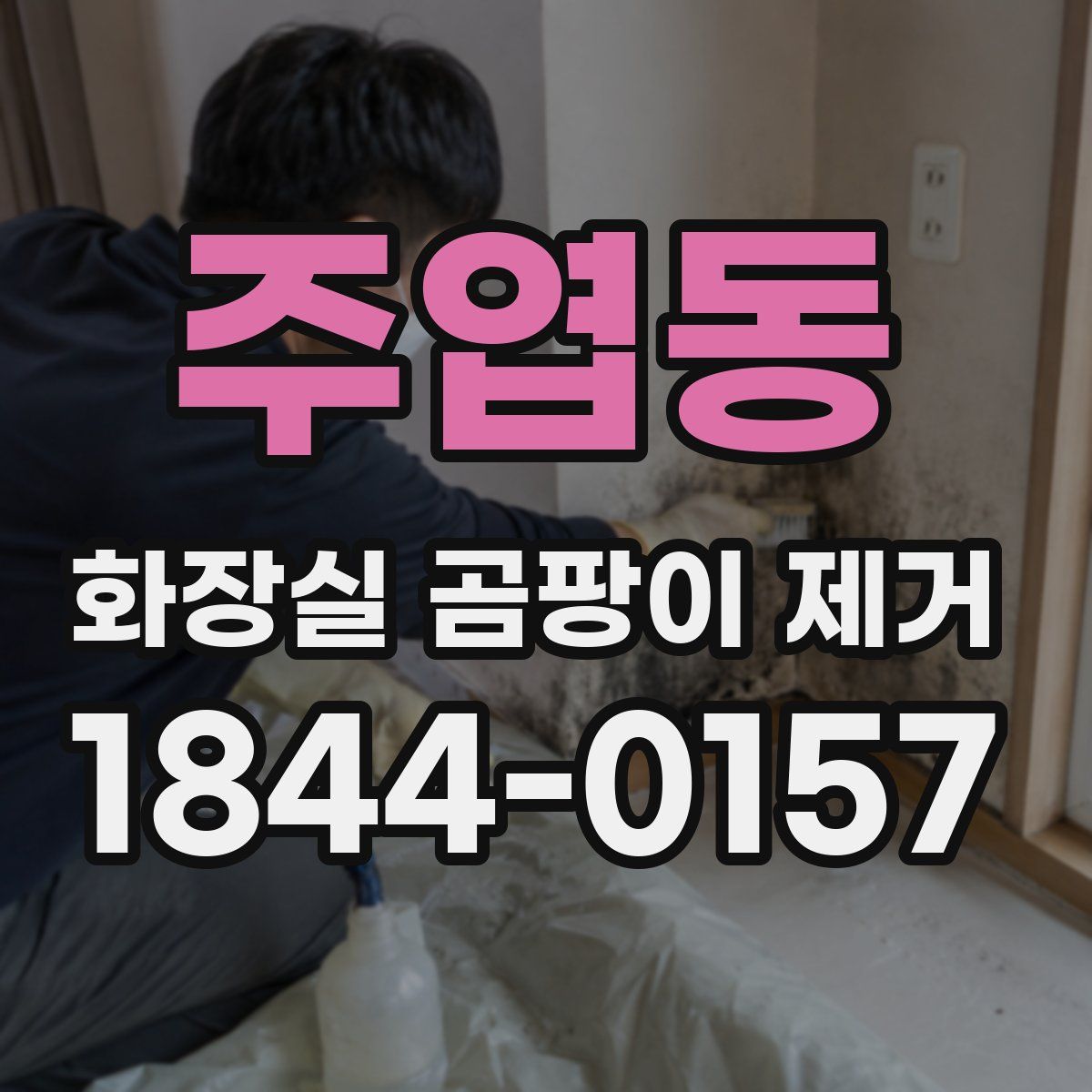 주엽동 화장실 곰팡이 제거