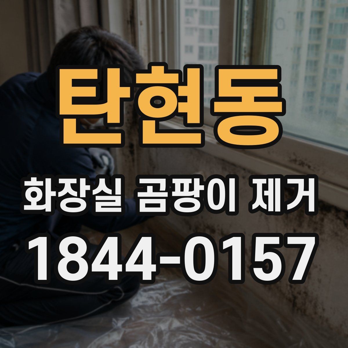 탄현동 화장실 곰팡이 제거 물때와 곰팡이가 섞인 얼룩 구분하기