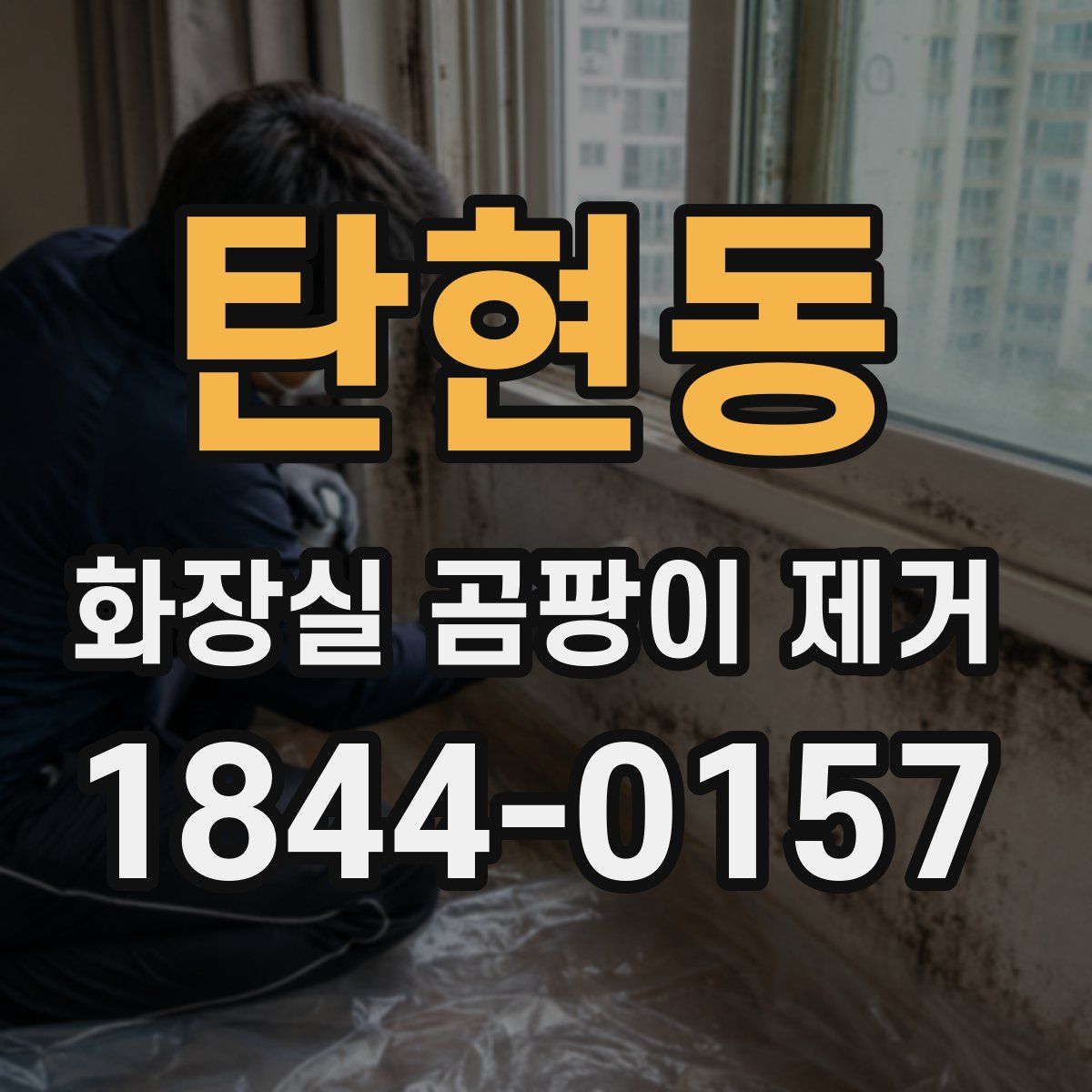 탄현동 화장실 곰팡이 제거