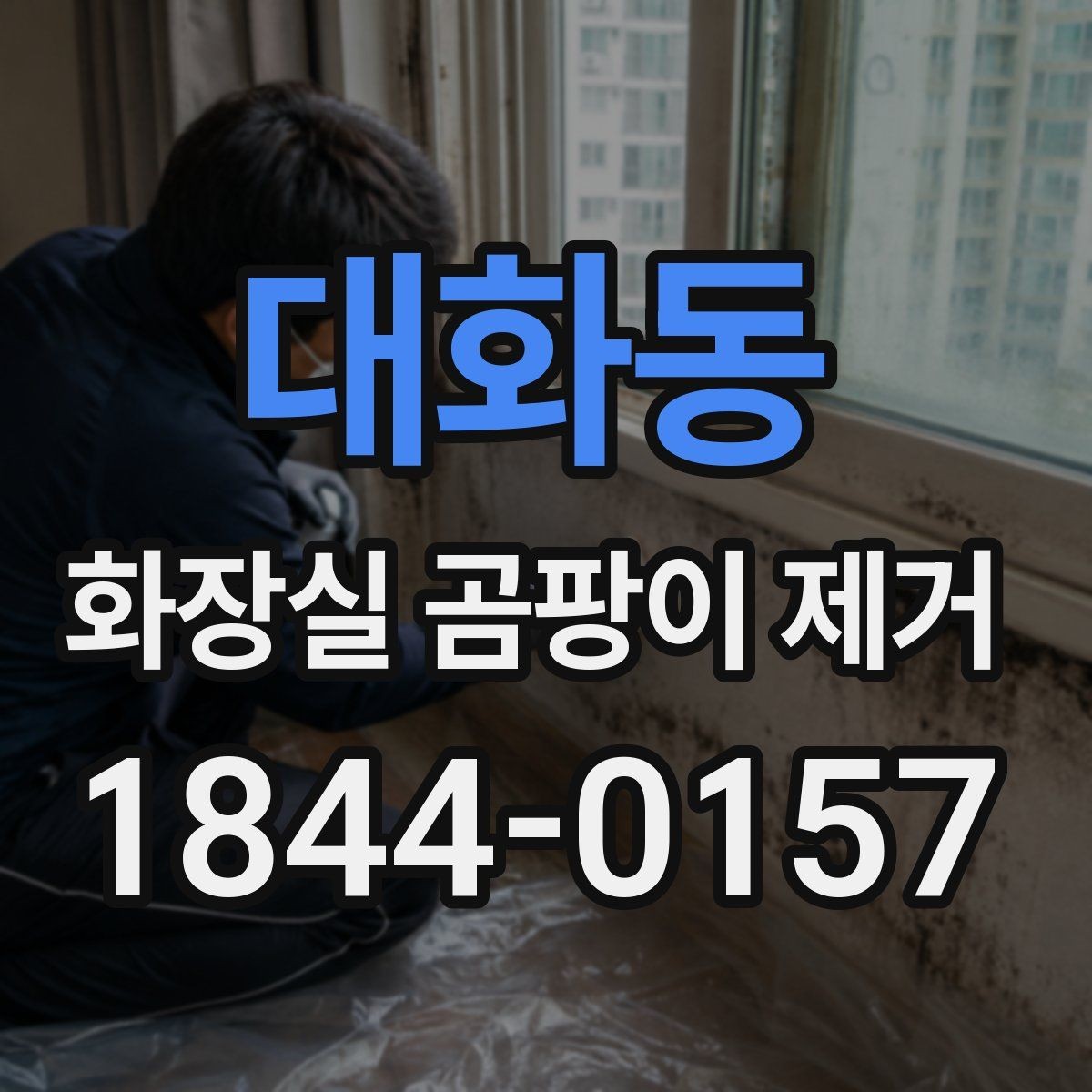 대화동 화장실 곰팡이 제거 벽면과 천장 경계부부터 살피는 이유