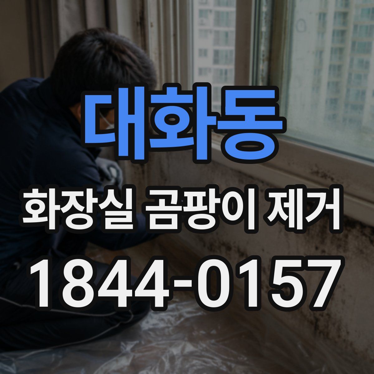 대화동 화장실 곰팡이 제거