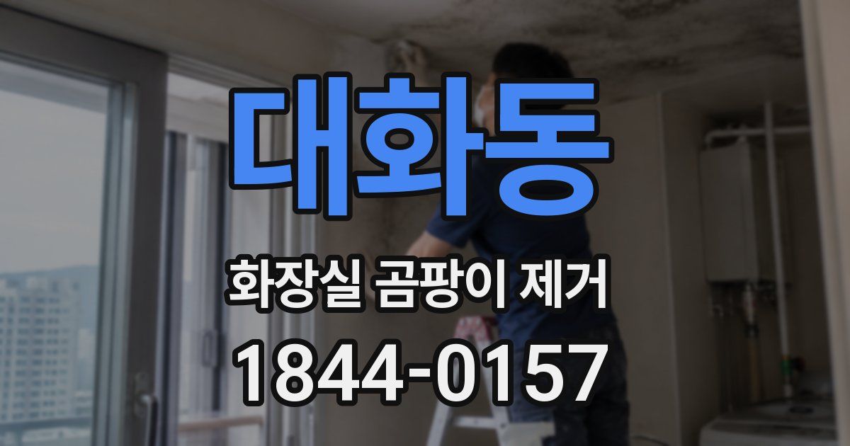 대화동 화장실 곰팡이 제거