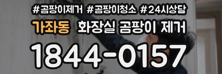 가좌동 화장실 곰팡이 제거
