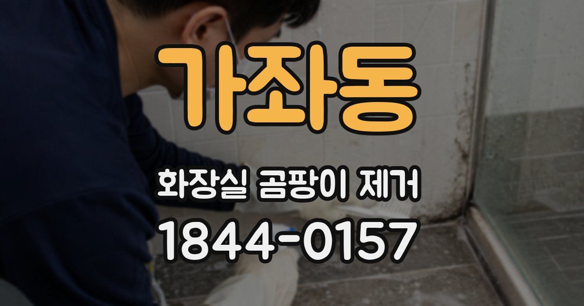 가좌동 화장실 곰팡이 제거